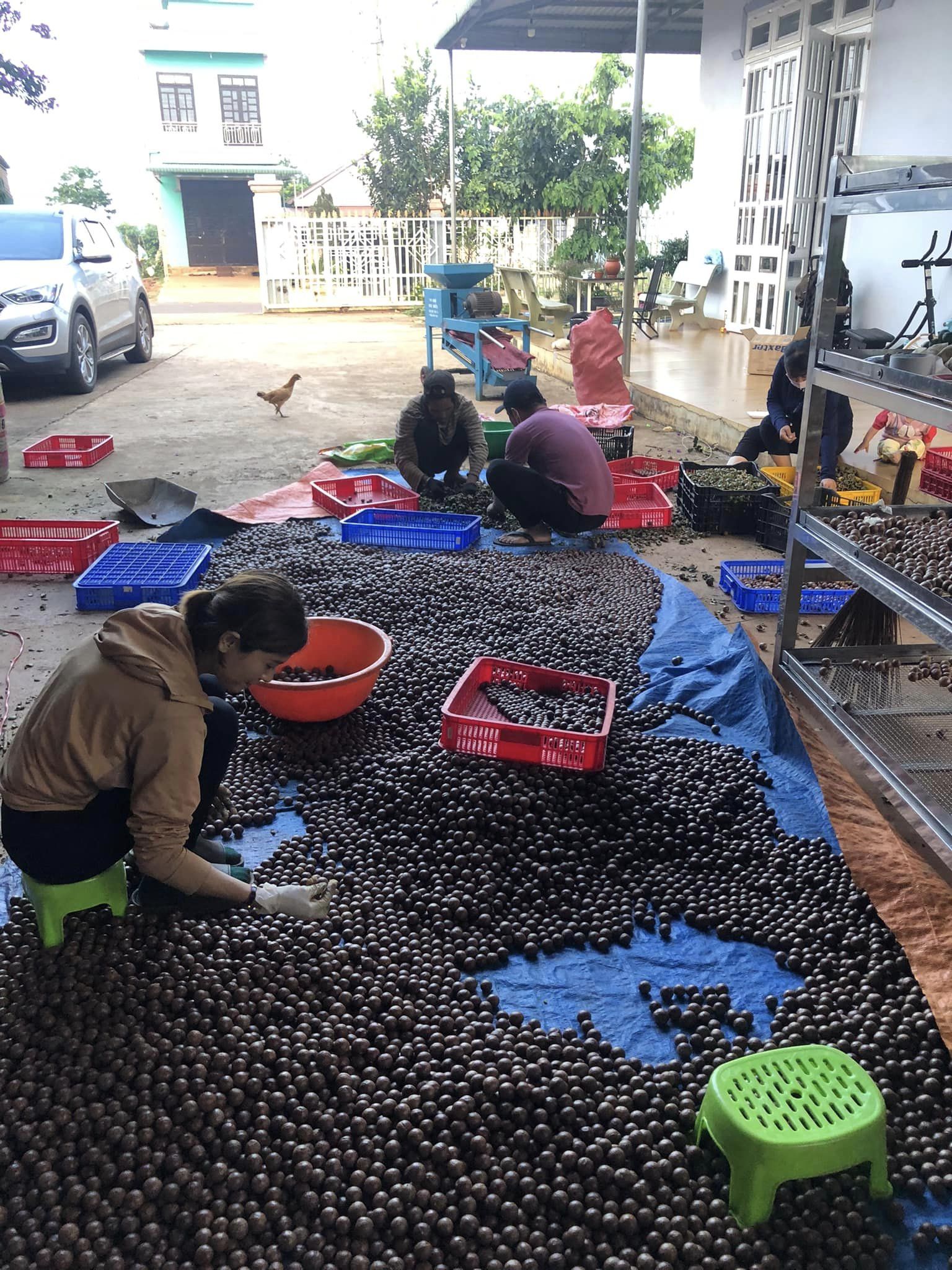 Cơ sở sản xuất Rio Macca